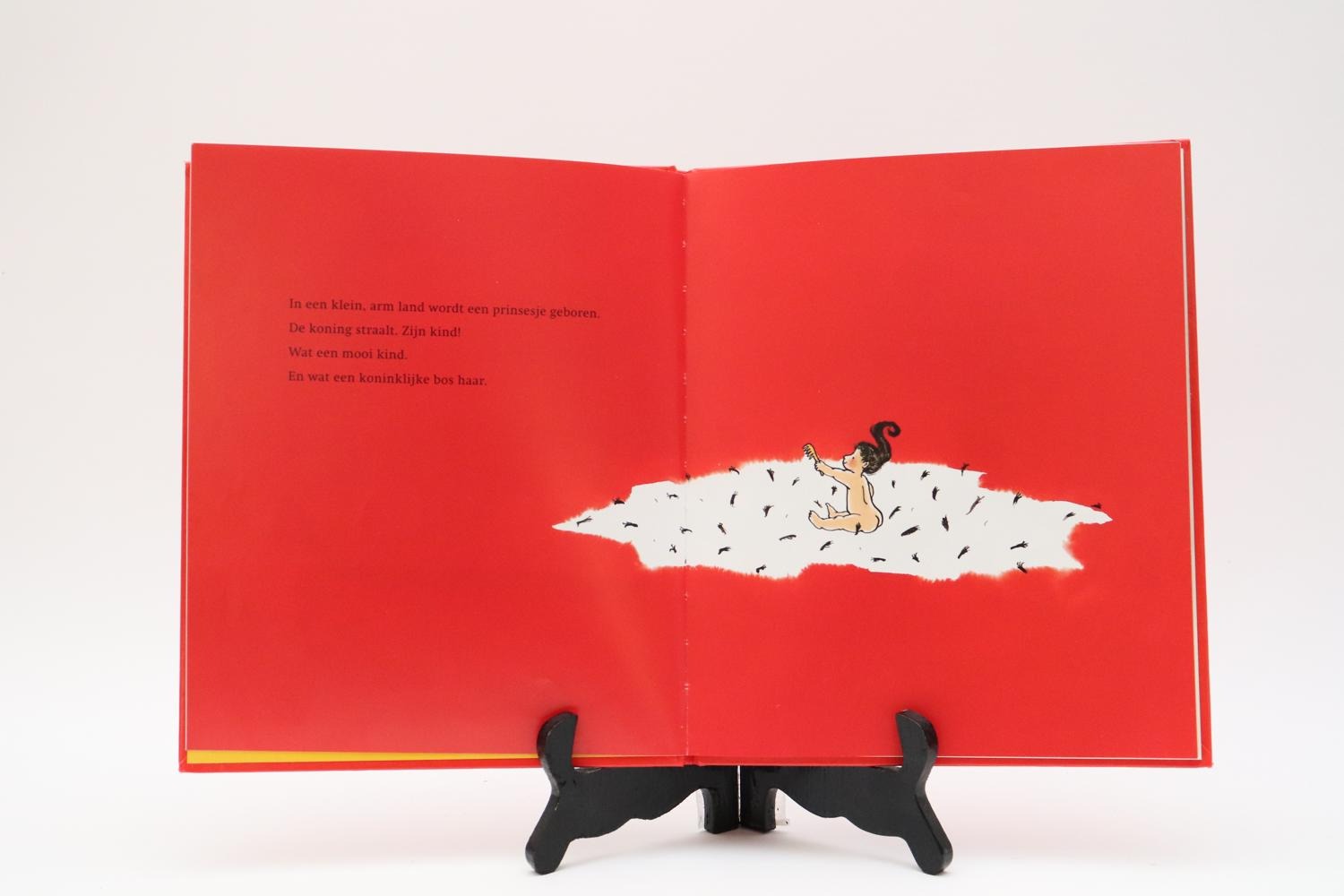 Boek de prinses met de lange haren - Boeken - edukleuter-outlet