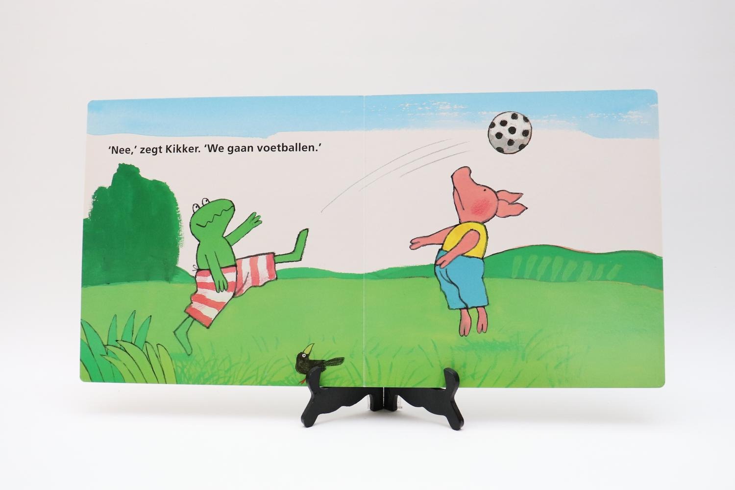 Groot kartonboek: Het grote boek van Kikker en Varkentje - Boeken