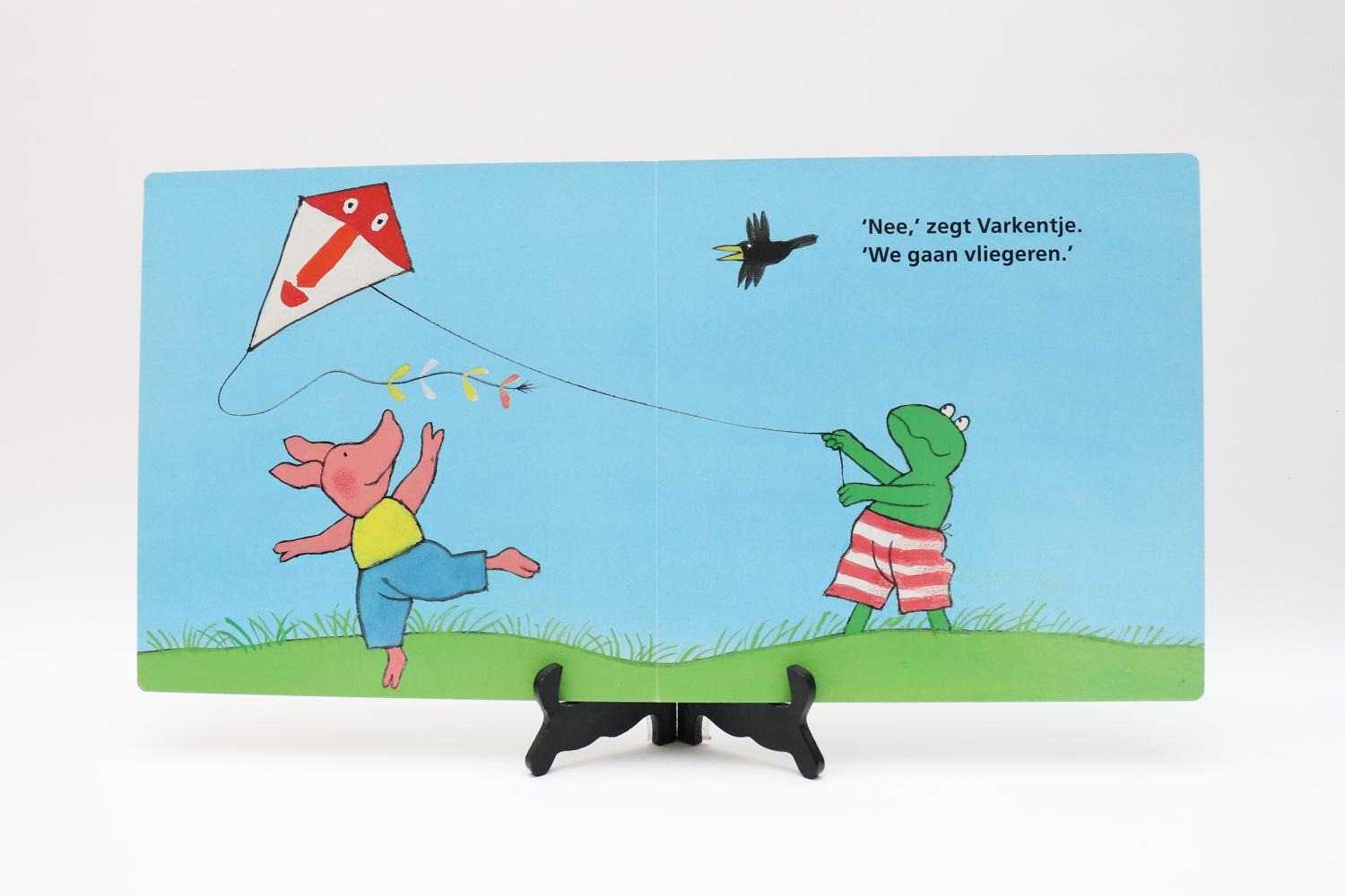 Groot kartonboek: Het grote boek van Kikker en Varkentje - Boeken