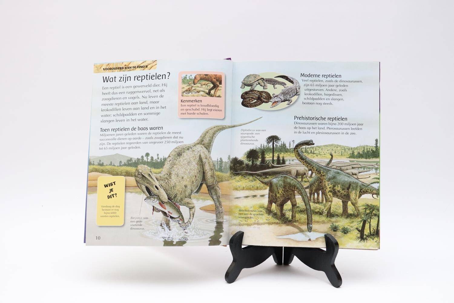Boek alles over dinosaurussen - Boeken - edukleuter-outlet