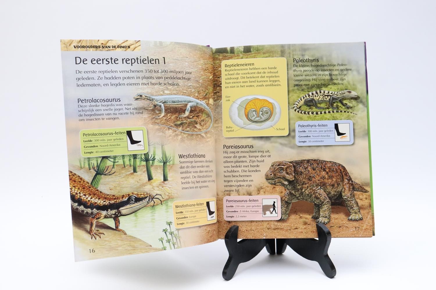 Boek alles over dinosaurussen - Boeken - edukleuter-outlet